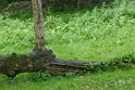 2019-09-26 16-47-59 Circuit Moulin a Maree DLe
